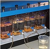 water test